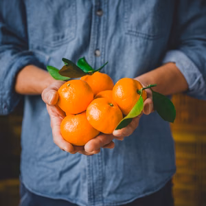 人気No.1手が止まらない有田みかん5kg！糖度11度〜