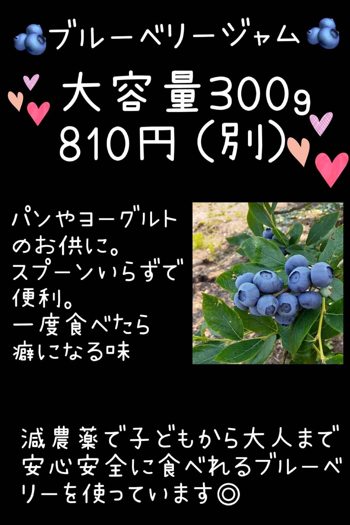 群馬県産ブルーベリージャム 大容量300g入り|加工食品の商品詳細|ポケットマルシェ|産直(産地直送)通販 旬の果物・野菜・魚介をお取り寄せ パン屋さんが作ったジャム