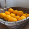 昔ながらの懐かしい味の「夏みかん」　4.5㎏　