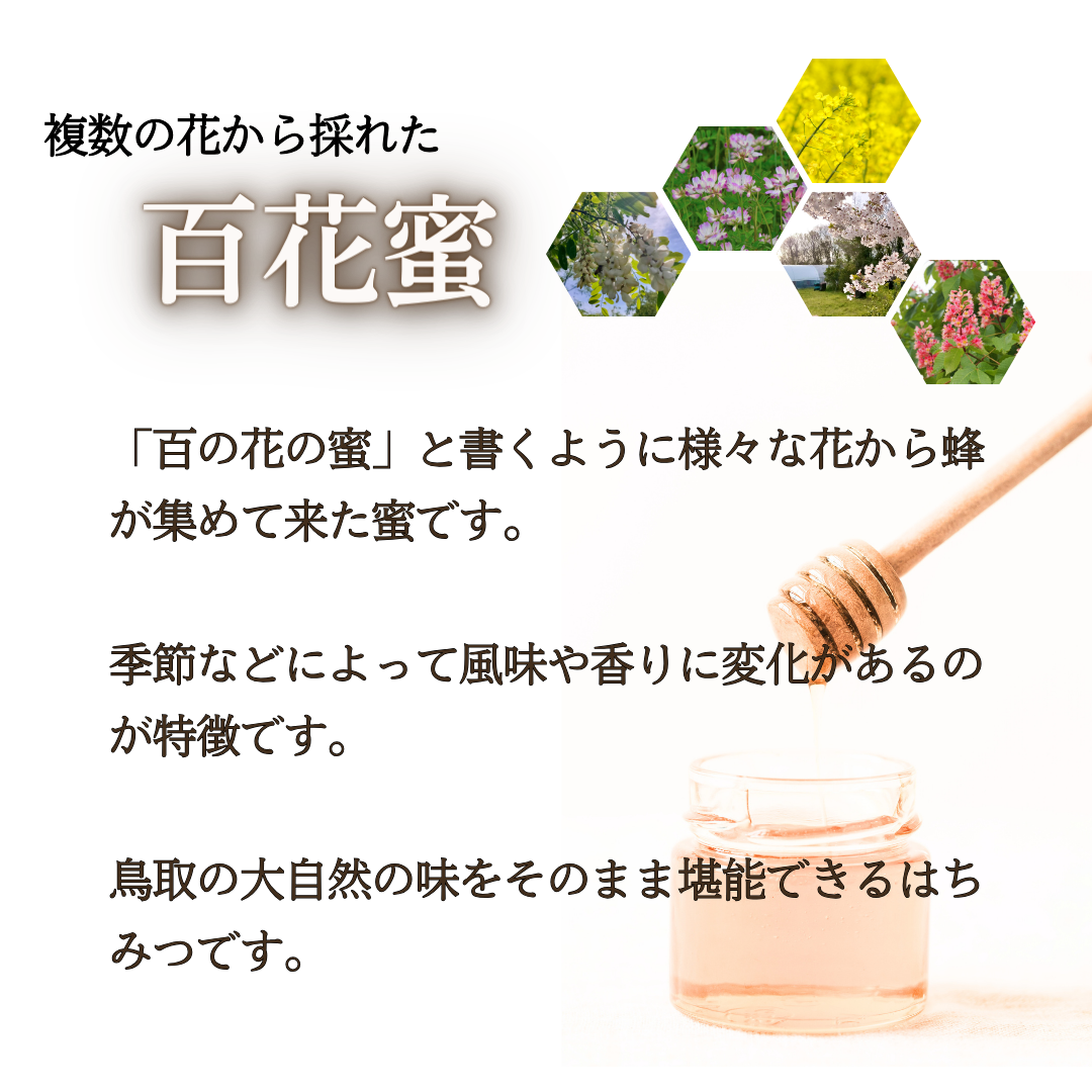 梅庵ミツバチ様 はちみつ仕立て【極】（きわみ）6包入□勝僖梅の高級はちみつ