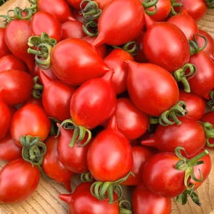 高糖度調理用トマト　(糖度８以上）