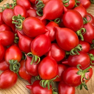 高糖度調理用トマト　(糖度８以上）