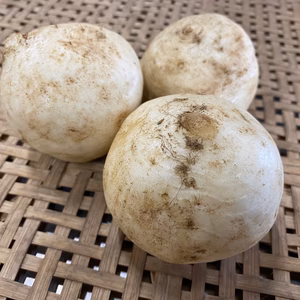 自然栽培　カブ　400ｇ/1袋