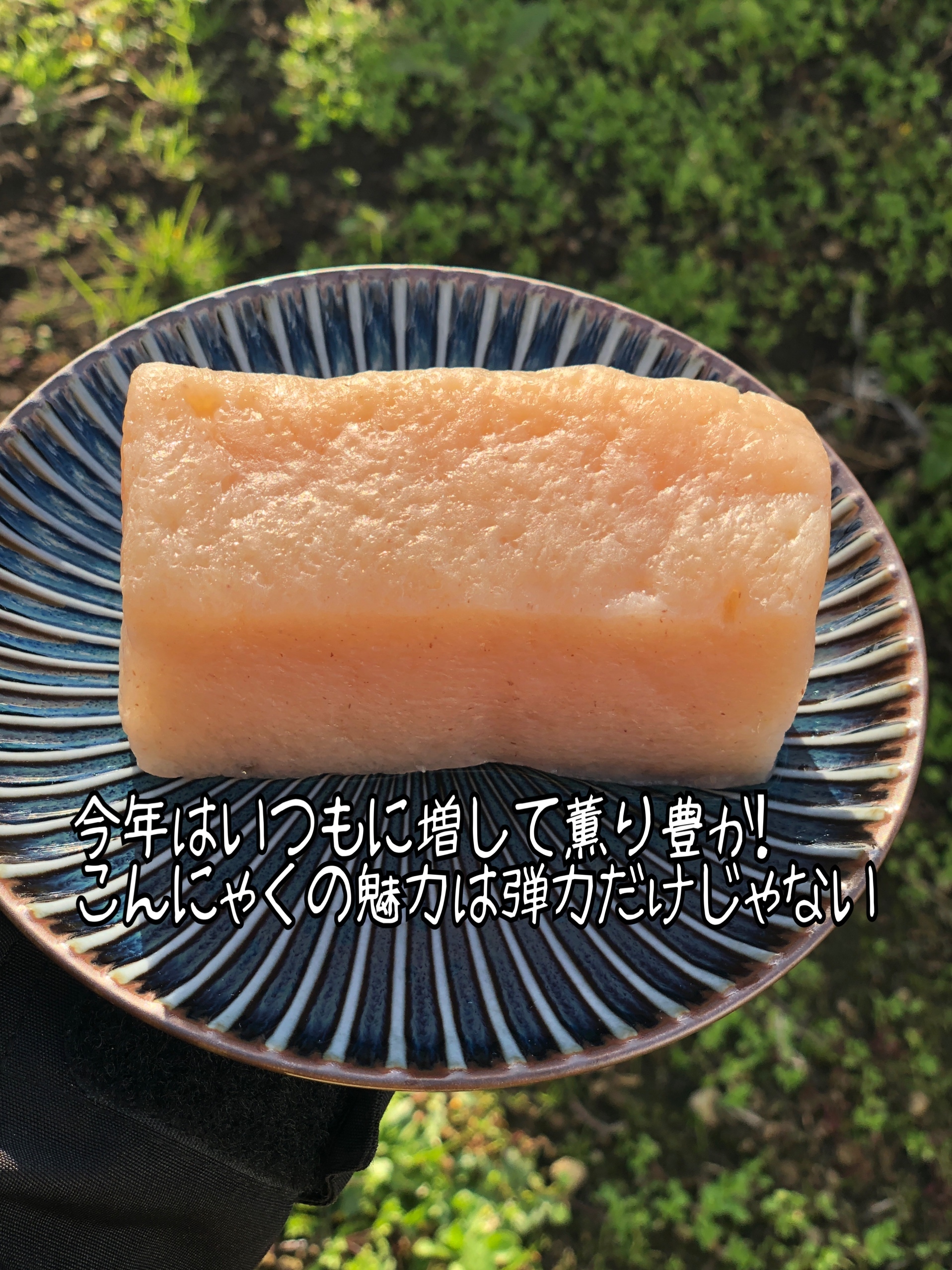 今話題の こんにゃくフリット 作るならコレ コレ 香る生芋こんにゃく 農家漁師から産地直送の通販 ポケットマルシェ