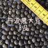 丹波黒大豆★肥料・農薬不使用の兵庫県産黒豆 [B品] 