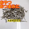 海の中そのままおとどけ！小魚堪能ちりめん~出汁、おつまみ？ちりめんの成長を見よ！