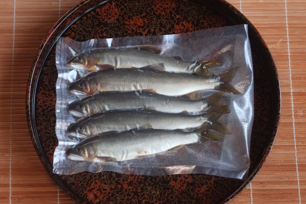 【友釣り】清流 那珂川の天然鮎（5尾約310g:20-22cm）