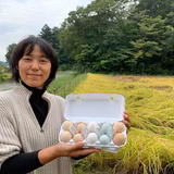 吉田睦美 | アニマルフォレストうつしの森