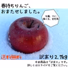 送料無料◎春になっても美味しい！春待ちりんご【訳あり2.7kg】
