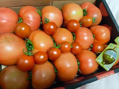 みんなの投稿の画像