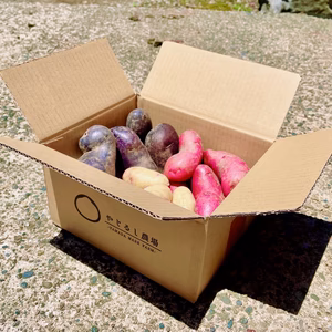 【最終値下げ！】カラフルポテト【じゃがいも】多品種食べ比べセット！