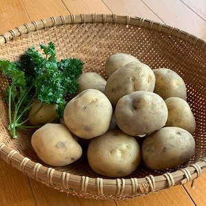 【獲れたて】新じゃがいも（男爵）1㎏～栽培時、農薬・化学肥料・除草剤一切不使用～