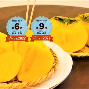 【送料無料】じゅわ〜っと甘い！秋の味覚！ 和歌山県産 たねなし柿 ご家庭用