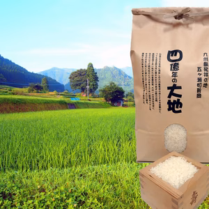 新米！コシヒカリ白米5kg　2024年度