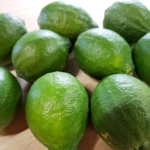 レモン　箱込約２㌔ 鮮度抜群！！