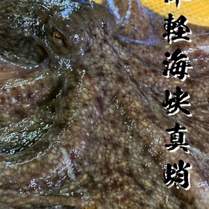 訳あり！冷凍真ダコ頭（生）２匹分