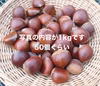 【自然栽培の栗／1kg】今が旬！