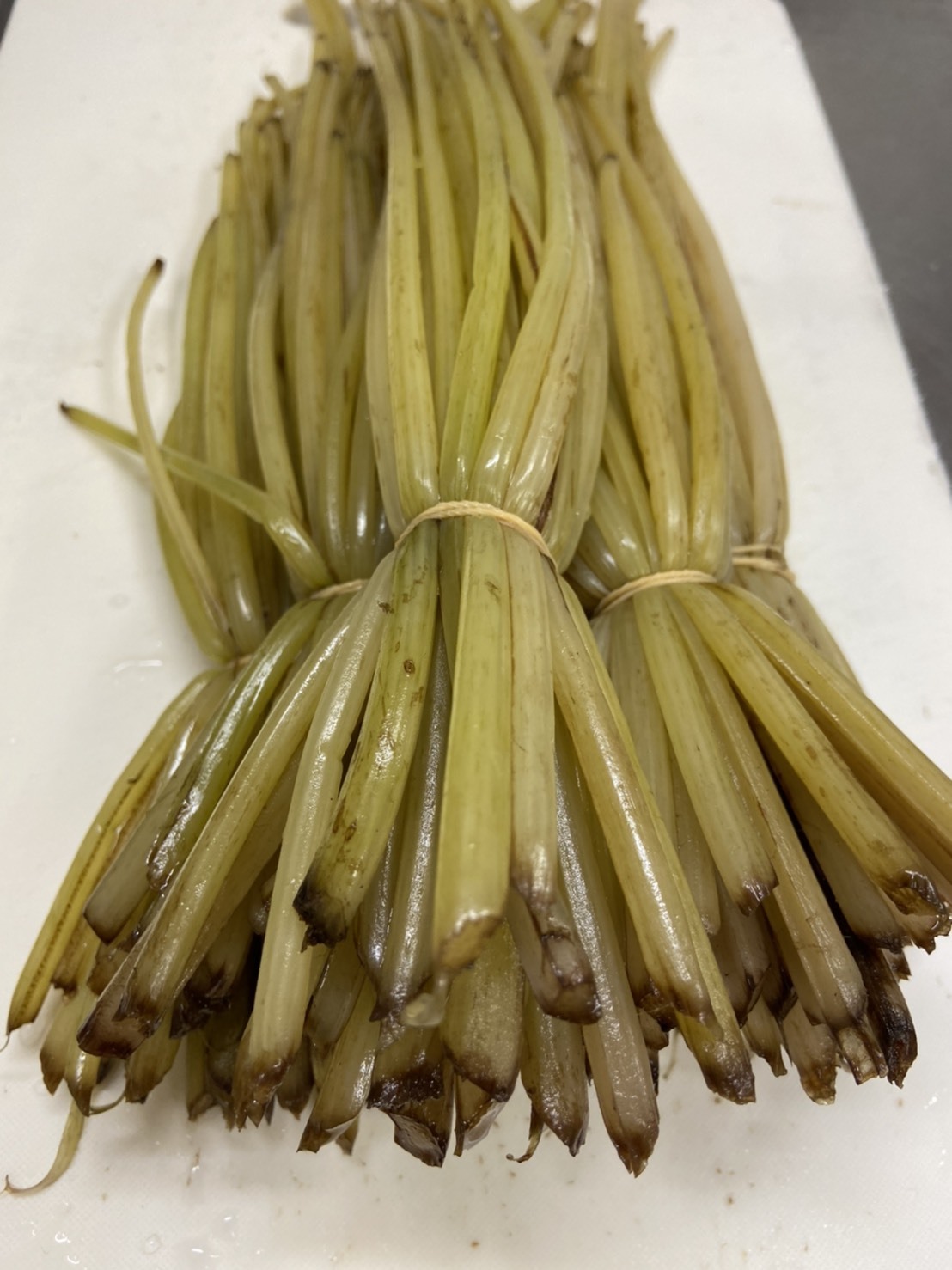 農家が作ったご飯のお供 ふきの佃煮 農家漁師から産地直送の通販 ポケットマルシェ