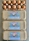 60個入　北海道ハッピープレイス　放し飼い自然卵【ハッピーコッコちゃんたまご】