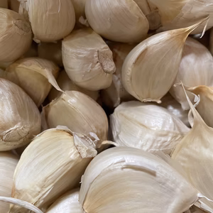青森県産ニンニク【バラ500グラム】