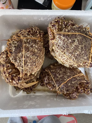 みんなの投稿の画像