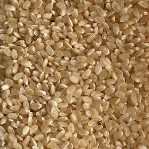 新米【令和7年産・安曇野のお米】玄米