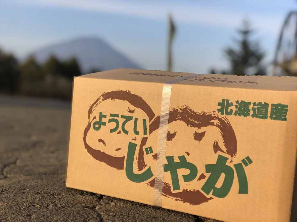 北海道産新じゃがいも　品種キタアカリ　10kg 　込み玉M〜3Lサイズ