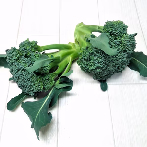 農薬不使用（無農薬）栽培　スティックセニョールの芯芽