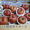 全玉みつ入り◆ご家庭用◆完熟ふじりんご約10kg