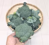 【おすすめ商品】ブロッコリー　4本セット　農薬不使用（無農薬）栽培
