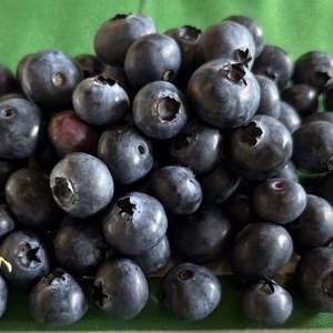 ブルーベリー　群馬県東吾妻町産　800g