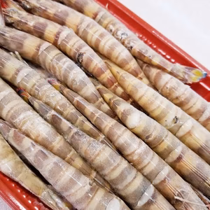 【竹富島産】訳あり 冷凍車えび 　中サイズ（18尾～23尾サイズ）