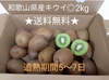 送料無料　和歌山県産　ベビーキウイフルーツ　