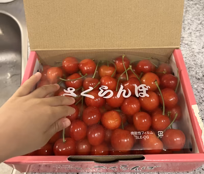 みんなの投稿の画像