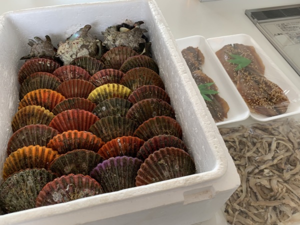 South Island Shell 森 十五さんへのみんなの投稿 農家漁師から産地直送の通販 ポケットマルシェ