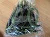 旬の野菜セット‼️トマト❗️じゃがいも❗️枝豆❗️他もいっぱい‼️