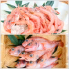 【母の日】深海の旨み満喫！【下処理済】夢カサゴとトロえび中小セット