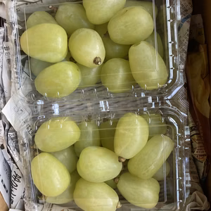 巨大粒つぶパック　雄宝！　500g×2パック　合計1キロ