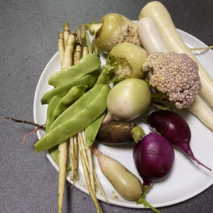 ガストロノミー野菜セット