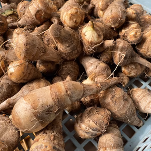 海老芋　農薬は使ってません