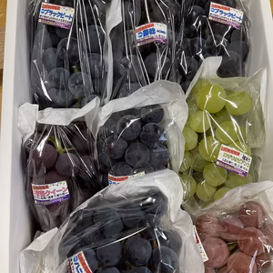 【8周年福袋】ご家庭用★大粒ぶどう食べ比べ！！おまかせで5～8品種入り