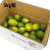訳なし！グリーンレモン【2㎏・5㎏・10㎏】