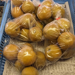 梨2L半額セール
