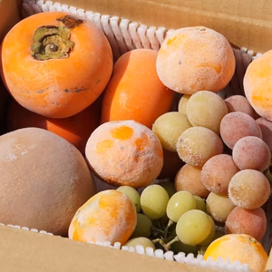 冷た～い♪秋をお届け！！　冷凍秋の味覚セット！！