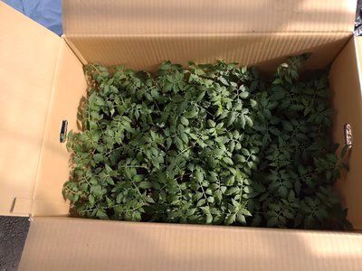 みんなの投稿の画像