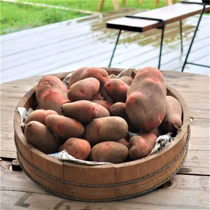 ジャガイモ（デストロイヤー）3kg