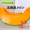 ギフトに大人気 【北海道メロン】 1玉入り　大玉　