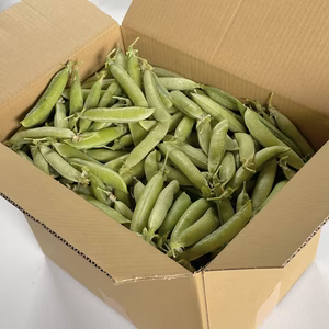 碓井豌豆　4kg入り　ヒネた莢が多いです。80サイズで発送　