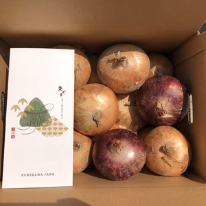 激甘‼️淡路島産玉ねぎ 七宝&赤玉2玉