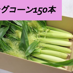 採れたて！サクッと甘い。有機ヤングコーン [たっぷり150本!!]